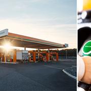 Regeringen vill se över möjligheterna att miljömärka drivmedel.