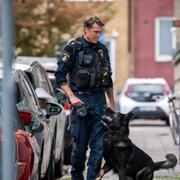 Bild från polisinsatsen. 