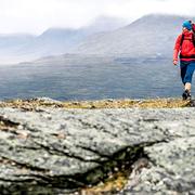 Kings Trail Hike Abisko. 