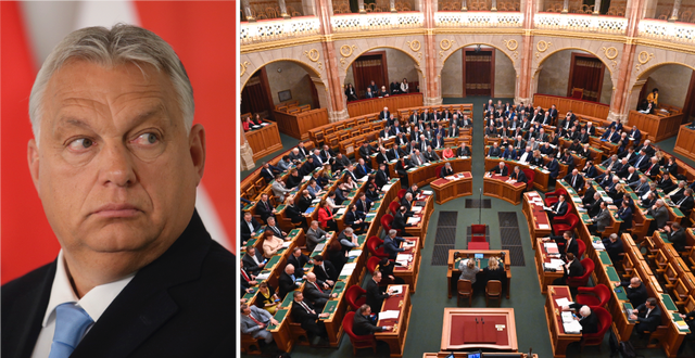 Ungerns premiärminister Viktor Orbán och Ungerns parlament. TT