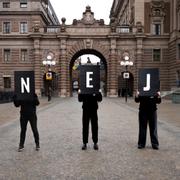 Demonstranter utanför riksdagen under Natoomröstningen. 