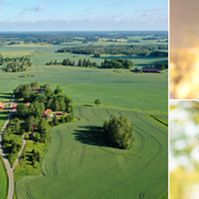 Flygbild över Håbo kommun/Per-Samuel Nisser (uppe) och Alexander Torin.