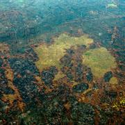 Brända områden i Amazonas i Brasilien. 