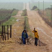 Unga pojkar vid en farm i Riebeek West i Sydafrika. 