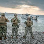 Arkivbild. Militärövning på Gotland. 