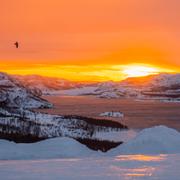 Arkivbild på Pasvikdalen vid Kirkenes i norra Norge.