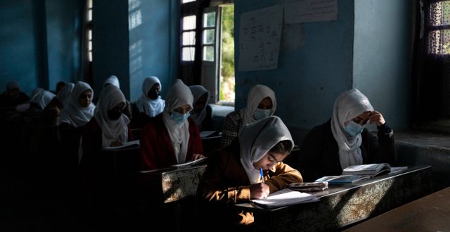 Flickor på en skola i Heratprovinsen. Petros Giannakouris / AP