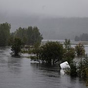 
Ljusån i Norrbotten under torsdagen