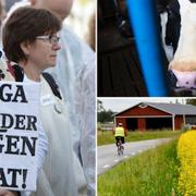 LRF-demonstration i Stockholm förra året.