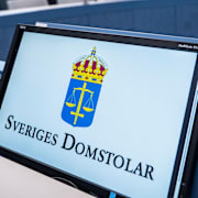 Migrationsdomstolen nekar uppehållstillstånd till den unga kvinnan. Genrebild.