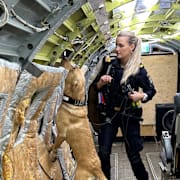 Sedelhunden Ranger med tullinspektör Susanna.