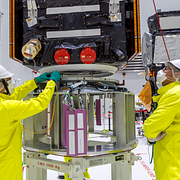 Satelliten Flex/grönt träd