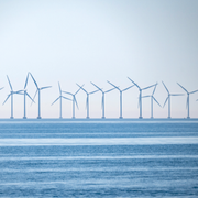 Muharrem Demirok (C), vindkraftspark i Öresund. 