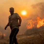 Skogsbrand i Grekland.
