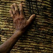 En granskning av The Guardian visade hur företag och stiftelser erbjuder urfolk i den bolivianska Amazonas pengar för det som lokalbefolkningen beskriver som ”osynlig luft”.