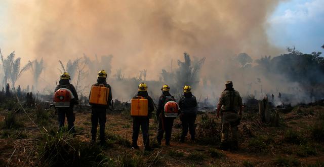 Skogsbrand i Amazonas i slutet av september.  Edmar Barros / AP
