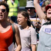 Klimataktivisten Greta Thunberg har tryckt på för att få EU-parlamentet att rösta igenom förslaget om återställning av naturområden.