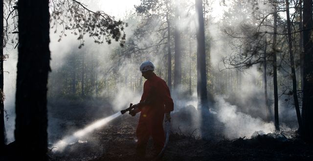 Eftersläckning av branden i skogarna kring Grössjön. Erik Abel/TT / TT NYHETSBYRÅN