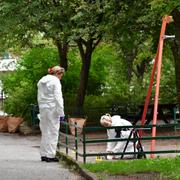 Polisens tekniker arbetar efter att två män skjutits i Hjulsta i nordvästra Stockholm.