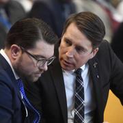 Åkesson, Jomshof. Arkivbild.