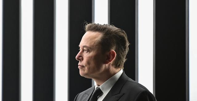 Teslas Elon Misk Patrick Pleul / AP