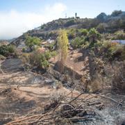 Bondgårdar brändes i skogsbranden, Santa Maria de Guia på Gran Canaria. 