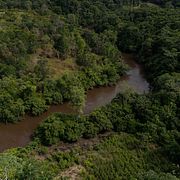 Avverkning i en skog i Colombia.