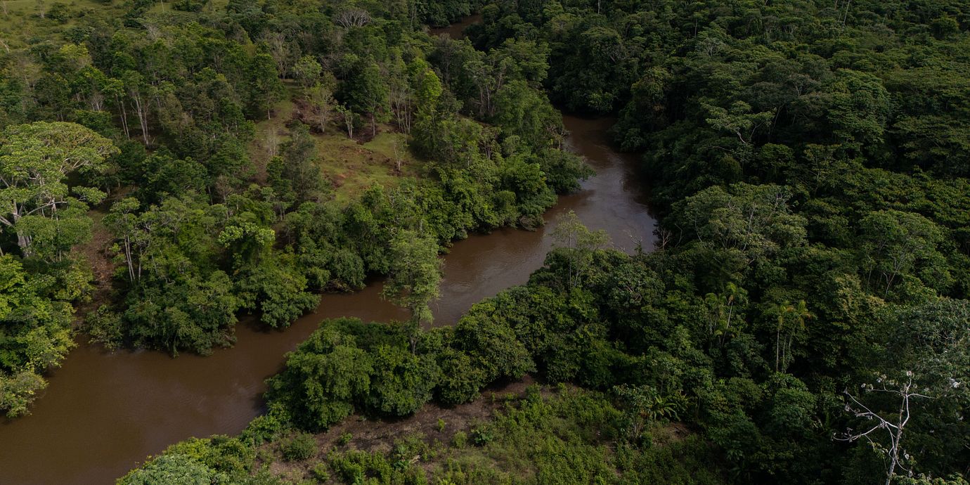 Avverkning i en skog i Colombia.