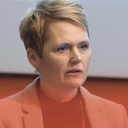 Anna-Karin Hatt, vd Almega