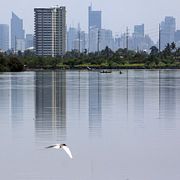 Manila.