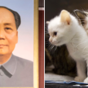 Mao Zedong/Kattungar.