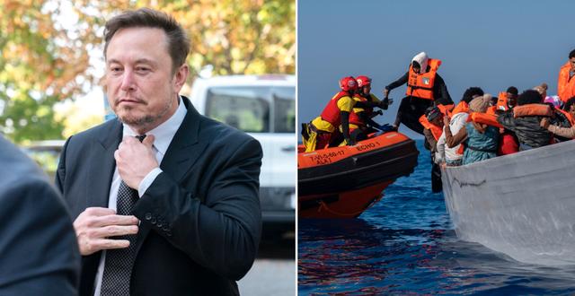 Elon Musk/Båtmigranter. AP
