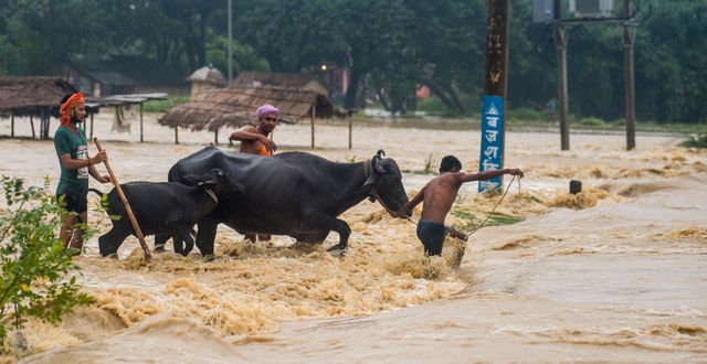 Minst tio personer har dött i Bhutan och flera personer saknas i grannlandet Nepal efter kraftiga översvämningar. Arkivbild. - / AFP