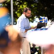 SD-ledaren Jimmie Åkesson. 