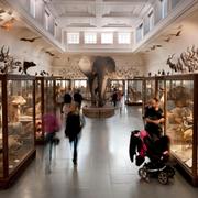 Göteborgs Naturhistoriska museum. 