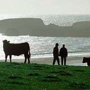 Shetlandsöarna