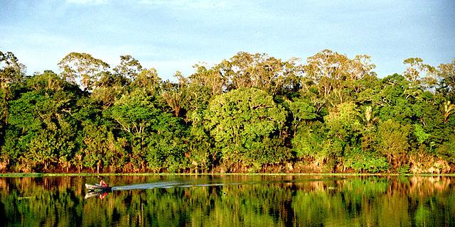 Urubufloden i Amazonas.   Wikimedia commons