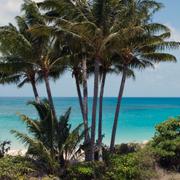 Lizard Island, där den 80-åriga kvinnan dog.