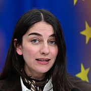 Den nu föräldralediga klimat- och miljöministern Romina Pourmokhtari (L).