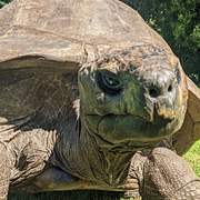 Jonathan syns på en bild som tagits 1882, då bedöms han ha varit omkring 50 år. Bilden till höger visar Jonathan 2021.