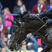 Alexandra Eriksson, Göteborg Horse Show. 