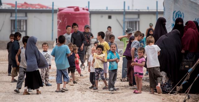Kvinnor och barn i lägret Al-hol i Syrien. Baderkhan Ahmad / TT NYHETSBYRÅN