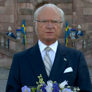 Bild från kungens tal. 