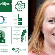 Novus sammanställning över C-väljarna / Annie Lööf. 