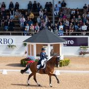 Sveriges Tinne Vilhelmson Silfvén och hästen Devanto i FEI Dressage Nations Cup Grand Prix Kür under Falsterbo Horse Show. Arkivbild från 2024.