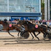 Arkivbild. Trav på Solvalla. 