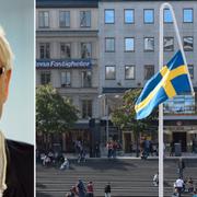 Lars Vilks/Mattias Norströms konstverk på Sergels torg.