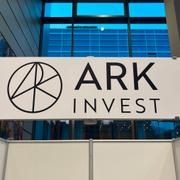 Cathie Woods Ark invest stod i centrum för spekulativa aktiers uppgångar under pandemin.