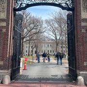 Harvard. 