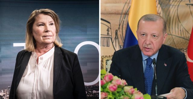 Charlotta Friborg/ Recep Tayyip Erdogan TT/AP